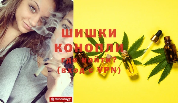 спайс Аркадак