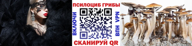 Галлюциногенные грибы Magic Shrooms  Тимашёвск 